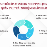 VAI TRÒ CỦA MYSTERY SHOPPING (MS) TRONG QUẢN TRỊ TRẢI NGHIỆM KHÁCH HÀNG (CX)