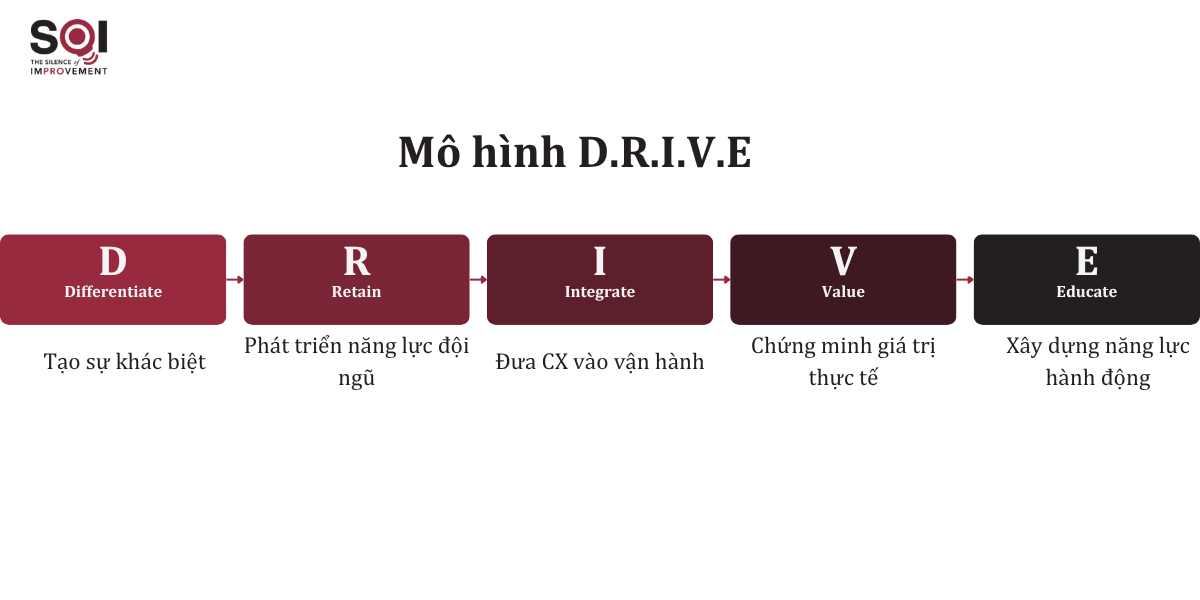 Mô hình D.R.I.V.E